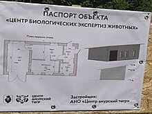 Дегтярев продолжает борьбу с браконьерством в Хабаровском крае