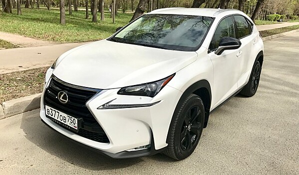 Притягивающий взгляды. Тест-драйв LEXUS NX 200 AWD