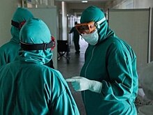 Терапевт Минздрава назвала сроки выработки антител после прививки