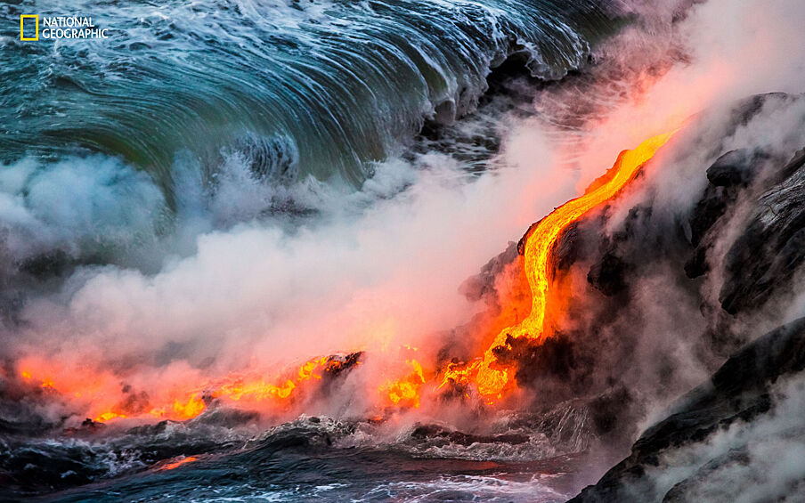 Журнал National Geographic проводит ежегодный фотоконкурс National Geographic Nature Photographer of the Year, посвященный богатству мира природы. Заявки от участников принимаются до 4 ноября. Все работы распределяются по нескольким категориям, а судьи оценивают не только технические параметры, но прежде всего историю, сюжет, уникальность момента. Победитель получит в награду 10-дневную поездку на двоих на Галапагосские острова. Победителей в отдельных категориях тоже не обидят — они получат по $2500. Некоторые работы участников конкурса — в нашей фотогалерее