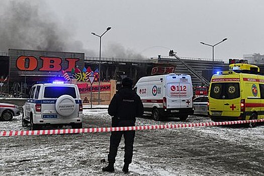 Стали известны подробности о гибели охранника в ТЦ «Мега Химки»