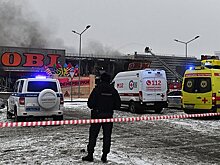 Стали известны подробности о гибели охранника в ТЦ «Мега Химки»