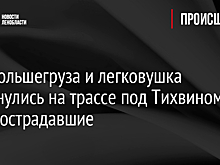 Два большегруза и легковушка столкнулись на трассе под Тихвином, есть пострадавшие