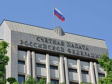 Счетная палата выявила более 50 нарушений в Минприроды
