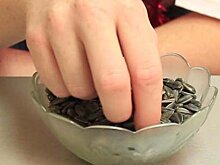 Врачи открыли смертельную опасность привычки грызть семечки