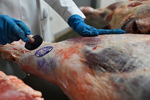 Как изменился продовольственный рынок России из-за продэмбарго