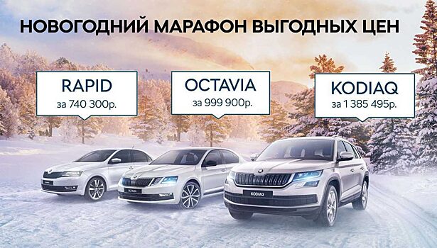Новогодний марафон цен на автомобили Škoda у официального дилера Медведь-Восток