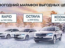 Новогодний марафон цен на автомобили Škoda у официального дилера Медведь-Восток