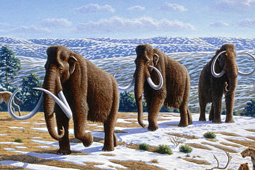 Мамонт оказался китом: семидесятилетняя ошибка изменила историю Аляски