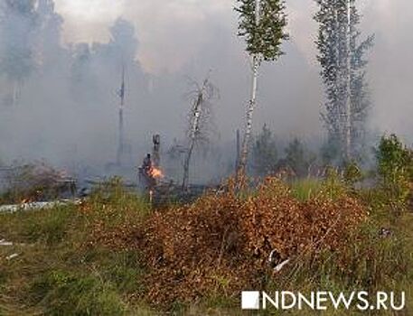 За сутки в ходе рейдов в Бурятии выявлено более 20 нарушений правил пожарной безопасности в лесах