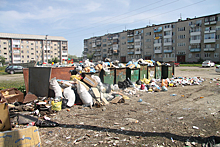 Деревня Кисловка превращается в «мусорную свалку»