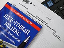 Кабмин отозвал из Госдумы проект о повышении НДФЛ для уехавших россиян