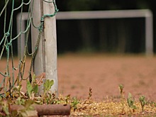 Во дворе на 6-й Кожуховской отремонтируют спортивную площадку