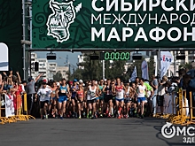 В Омске стартует ЭКСПО SIM