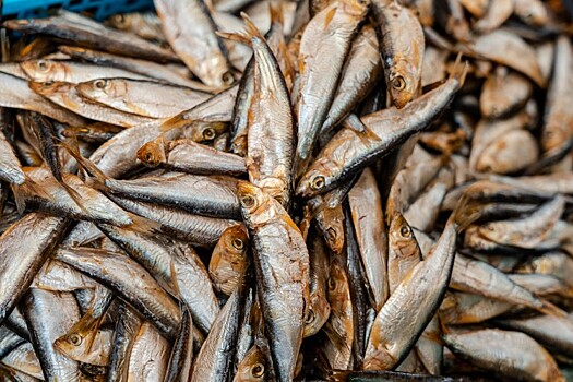 Гастрономическая новинка: дегустацию хамсы устроят на ярмарке в Геленджике