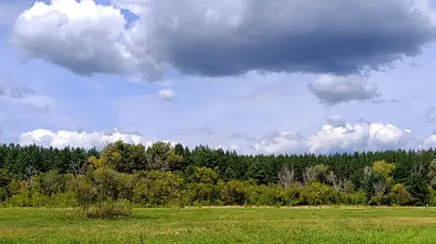 Волонтеров Самарской области обучили поиску пропавших людей