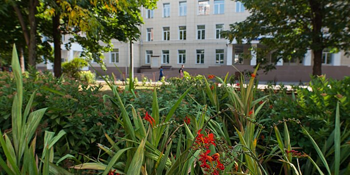 Композиции от «Цветочного джема»: территорию Филатовской больницы засадили цветами