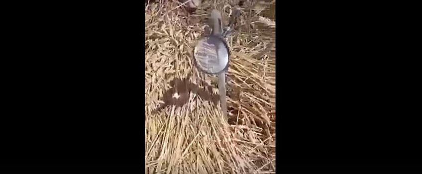 В Ростовской области пытались сжечь пшеничные поля при помощи линз