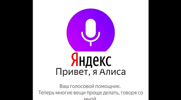 Стала известна дата проведения очередного тотального диктанта