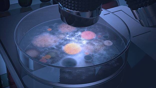 «Грибы вокруг нас». Иммунолог рассказал о новой болезни из Китая