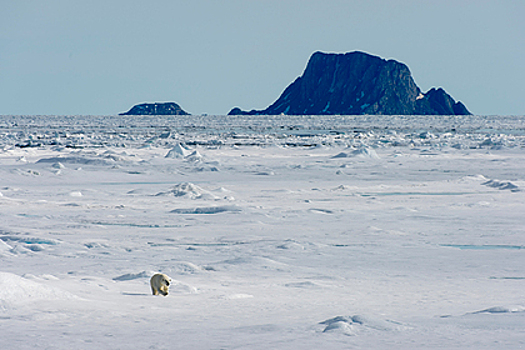 Ученые определили, что Северный Ледовитый океан в прошлом был пресным