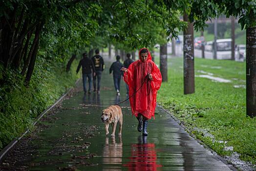 Дожди, ливни и грозы: озвучен прогноз погоды на завтра в Приморье