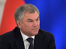 Володин: Поправки о кибермошенничестве подготовят к 12 мая