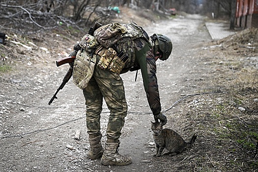 Минобороны РФ сообщило об освобождении Семеновки в ДНР