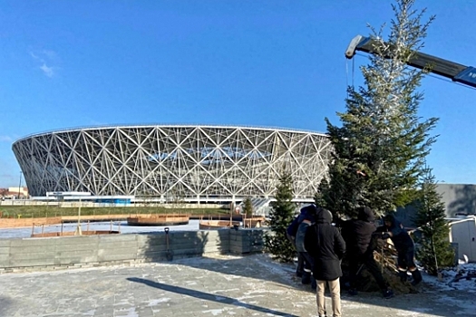 В Волгограде в ЦПКиО идет высадка 7-метровых елей возле нового катка