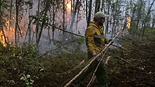 В Омской области загорелась сухая трава, огонь перешел на дачи