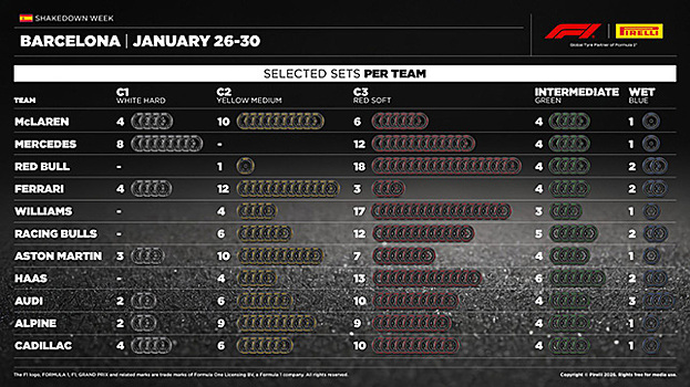 Комплекты шин, выбранные командами для первых тестов
