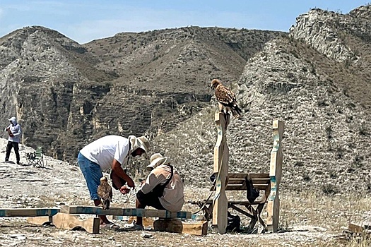 В Дагестане краснокнижных птиц использовали для фото с туристами