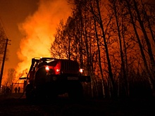 Рослесхоз: Летний пик пожароопасного сезона ожидается с середины июля