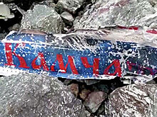 Названа приоритетная версия крушения Ан-26 на Камчатке