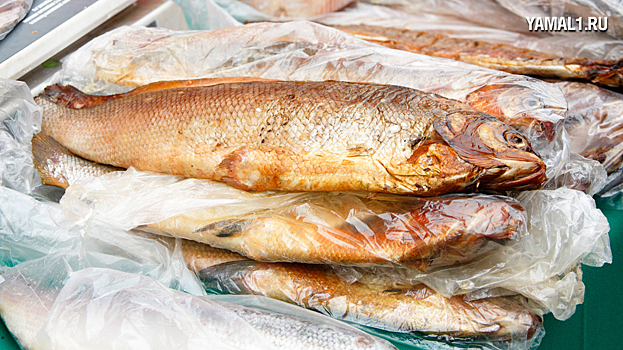 Ноябрьские предприниматели представят свою продукцию на Дне оленевода