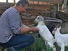 Ростовчанкам рассказали, как стать бизнес-леди