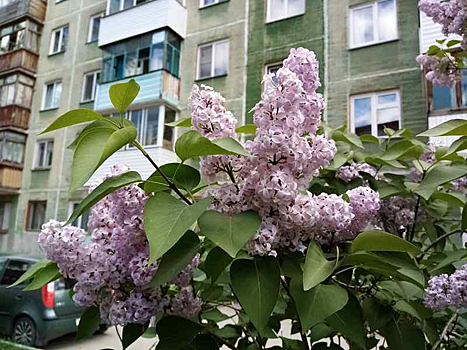 В Москве 18 мая ожидается до +16 °C