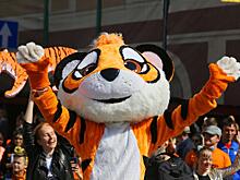 Общение с мэром в неформальной обстановке и серия лекций о тиграх пройдут 4 сентября