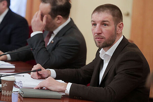 Депутат ГД Нилов: комиссия по этике не изучает ситуацию с Пирогом, поскольку нет обращения