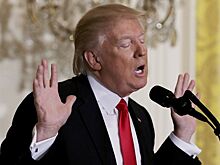 Трамп диктовал заявление сына о встрече с Весельницкой