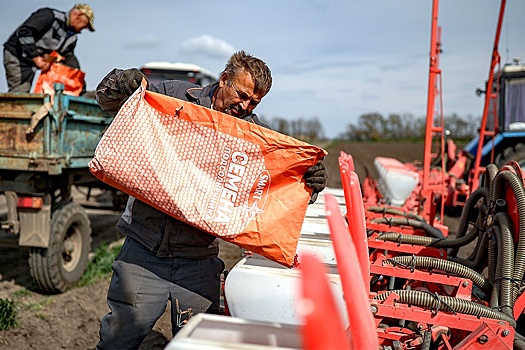 Гендиректор ИКАР Рылько объяснил, повлияют ли морозы на урожай озимых