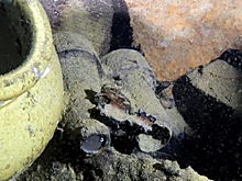 С места крушения корабля-побратима «Титаника» подняли первые артефакты