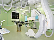 Прокуратура проверит хищения в Институте мозга человека