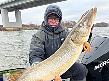 7‑килограммовую щуку поймал дзержинский депутат Юрий Шахунц