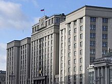 Госдума отклонила законопроекты о госрегулировании цен на бензин