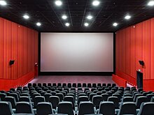 В Госдуме призвали МЧС РФ провести проверку всех российских кинотеатров