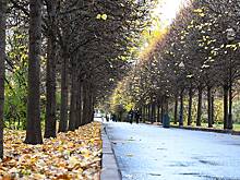 Психолог Абравитова рассказала, как заставить себя гулять в холодную погоду