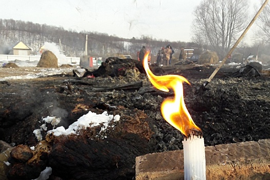 Эксперты рассказали, из-за чего сгорел конный клуб в Башкирии