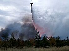 Площадь пожаров в Воронежской области выросла с утра четверга почти втрое