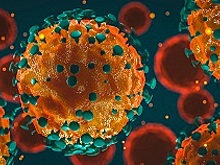 В Ростовской области за сутки выявили 489 новых зараженных коронавирусом